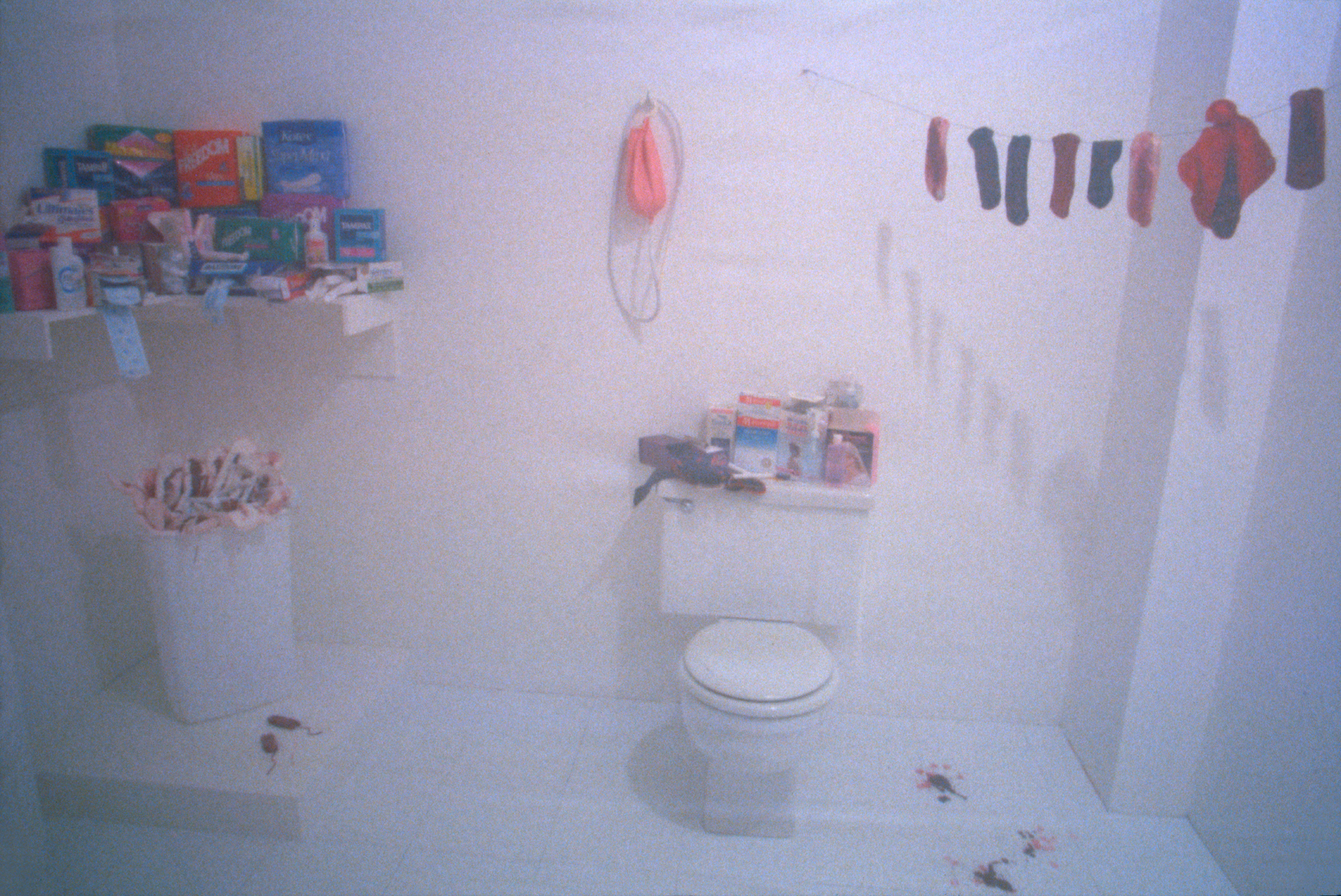 Womanhouse Menstruation_Bathroom_1995_reinstallation_1