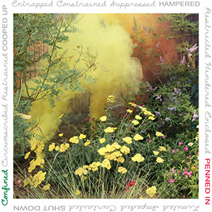 Judy Chicago CONFINED